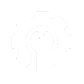 customized-icon-v2